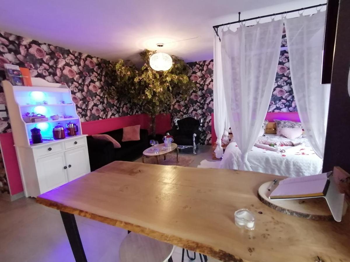 דיז'ון Romantisme Et Glamour 2 Avec Spa , Clim Et Jardin מראה חיצוני תמונה