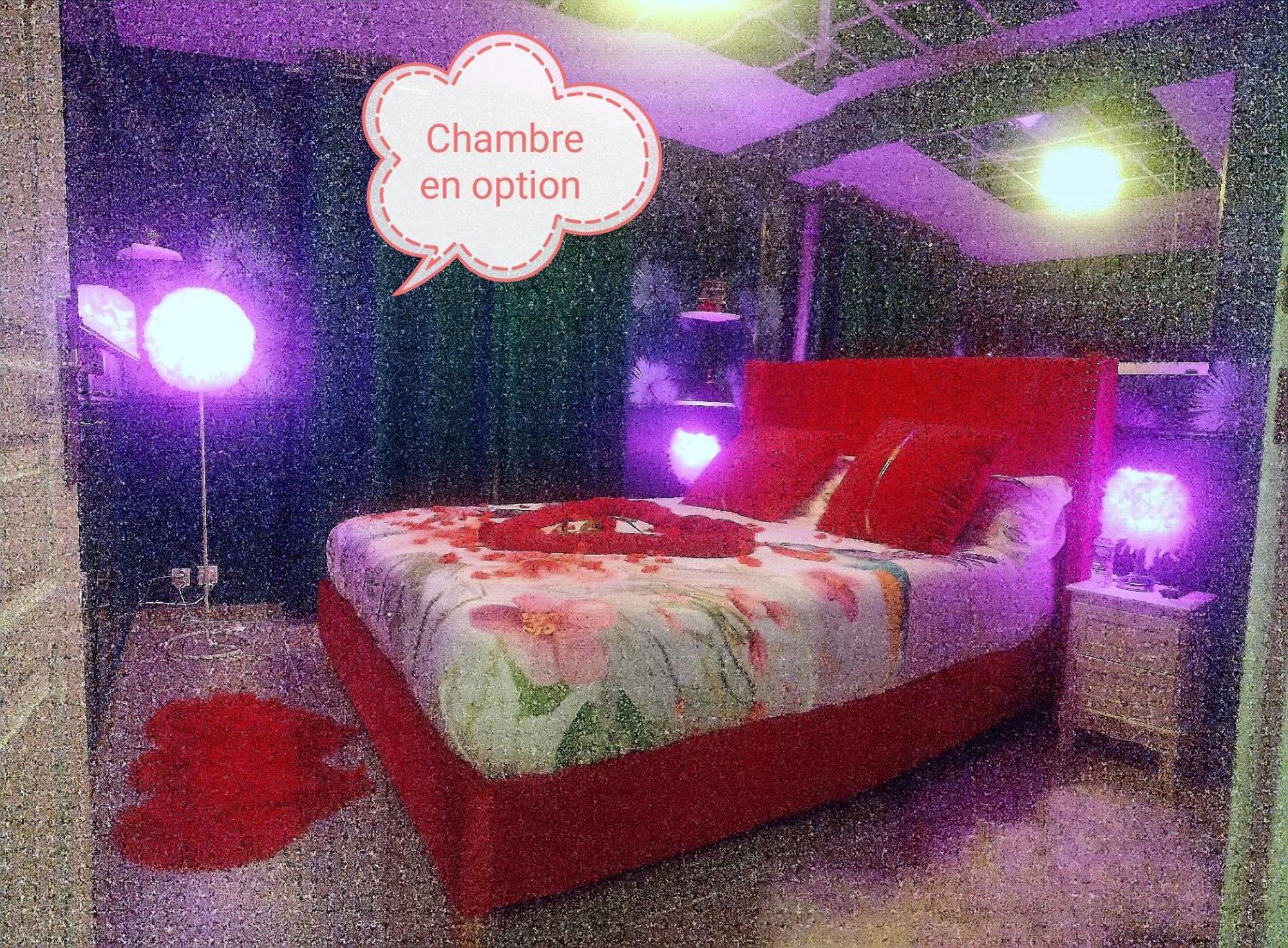 דיז'ון Romantisme Et Glamour 2 Avec Spa , Clim Et Jardin מראה חיצוני תמונה