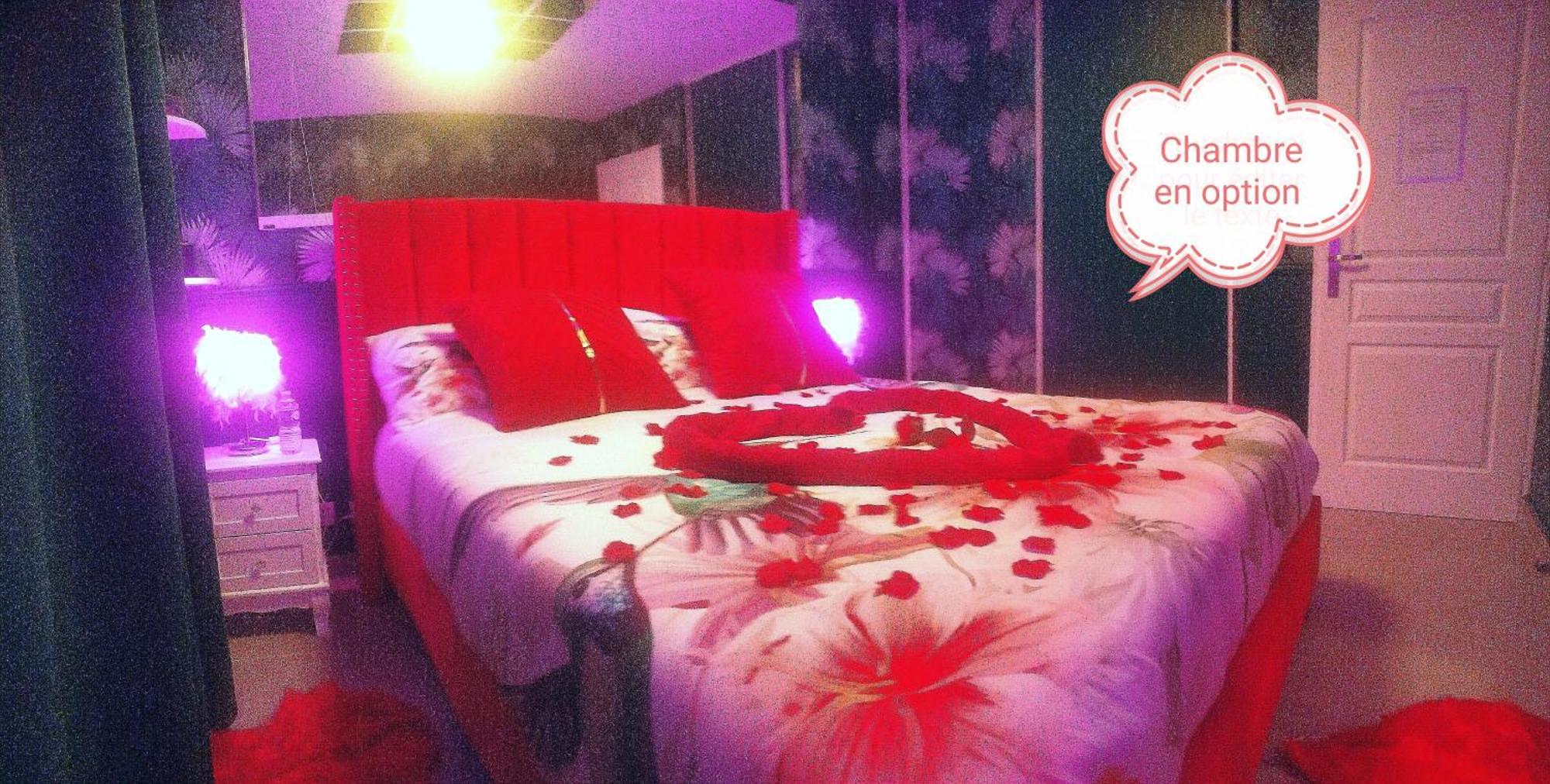 דיז'ון Romantisme Et Glamour 2 Avec Spa , Clim Et Jardin מראה חיצוני תמונה