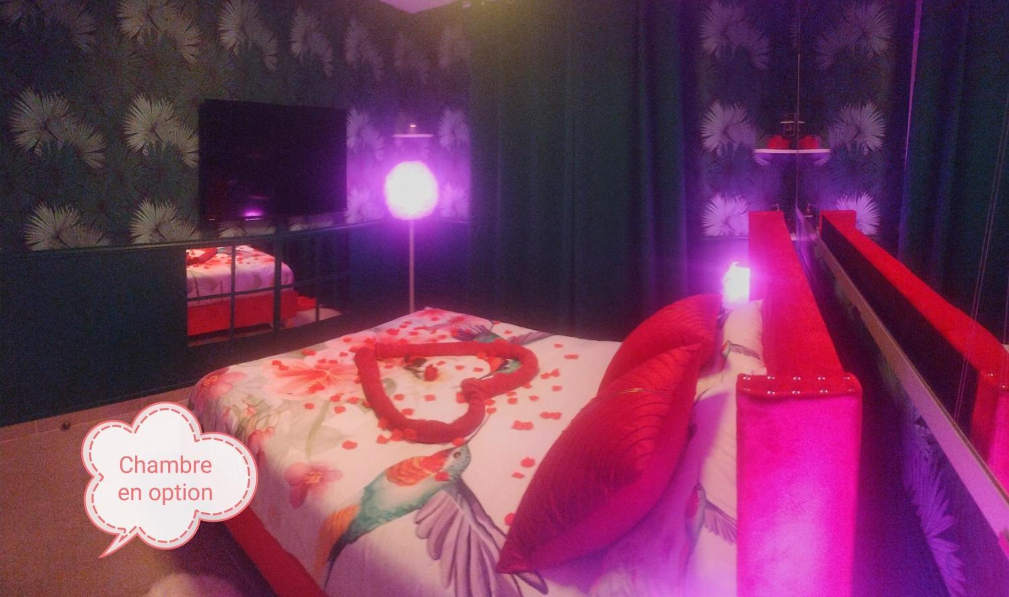 דיז'ון Romantisme Et Glamour 2 Avec Spa , Clim Et Jardin מראה חיצוני תמונה