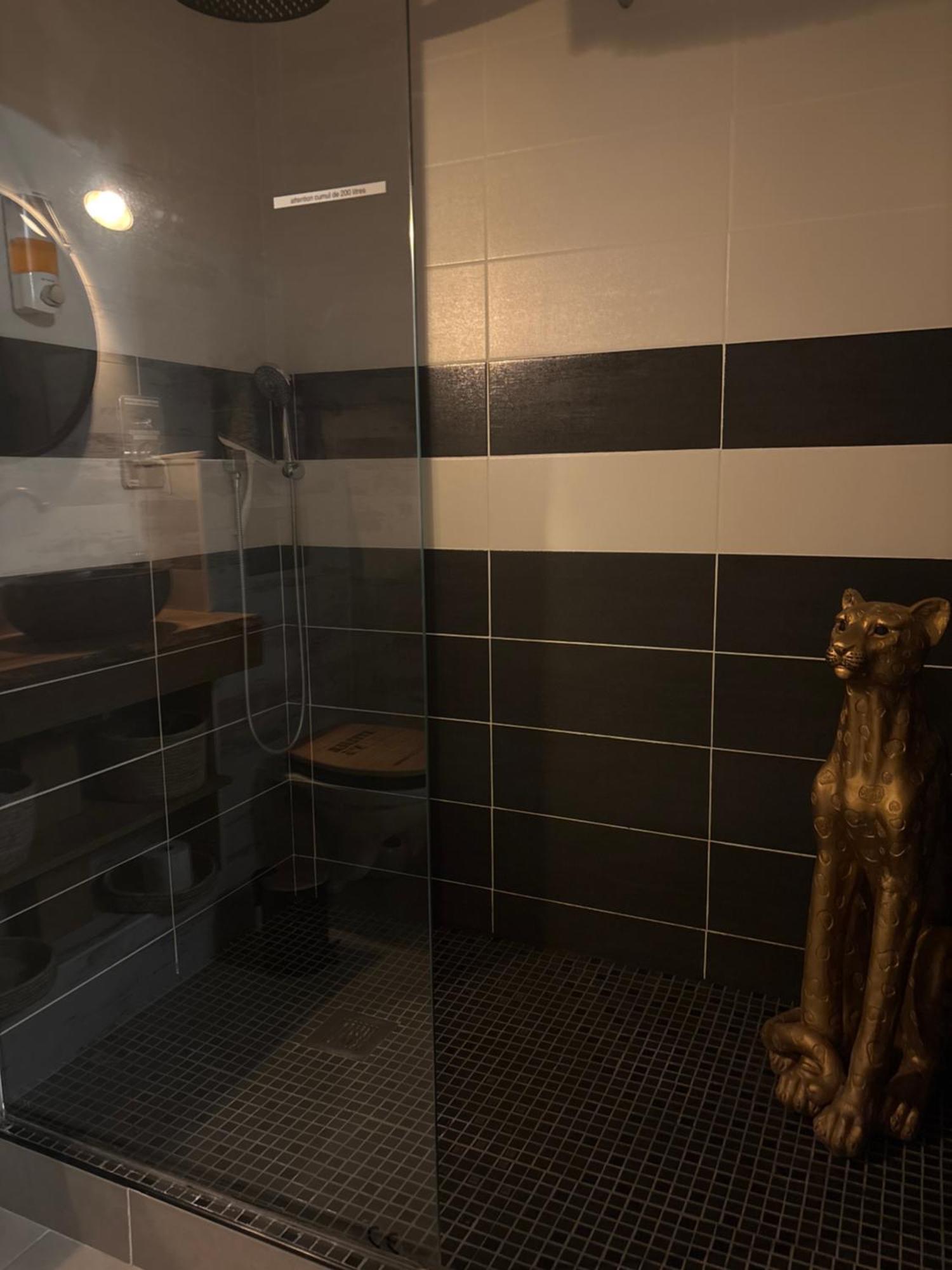 דיז'ון Romantisme Et Glamour 2 Avec Spa , Clim Et Jardin מראה חיצוני תמונה